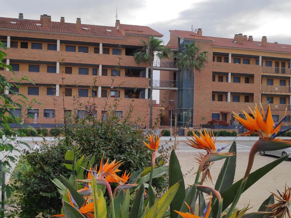 Apartamento En Deltebre Lo Delta Εξωτερικό φωτογραφία